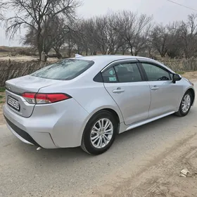 Toyota Corolla 2021