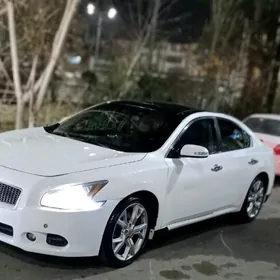 Nissan Maxima 2012