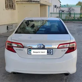 Toyota Camry 2013