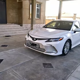 Toyota Camry 2019