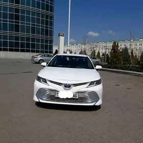 Toyota Camry 2019