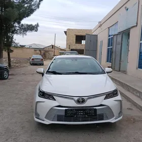 Toyota Corolla 2021