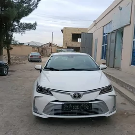 Toyota Corolla 2021