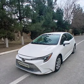 Toyota Corolla 2019