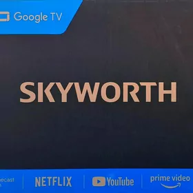 55"65" SKYWORTH