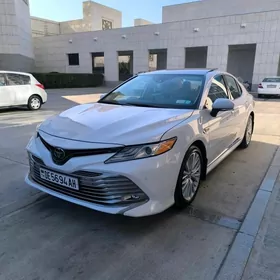 Toyota Camry 2020