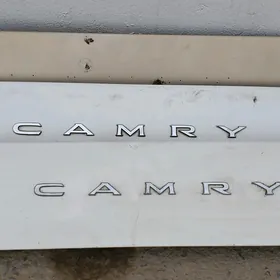 SAMSYK CAMRY BAGAŽ STOPNIK