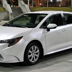 Toyota Corolla 2021