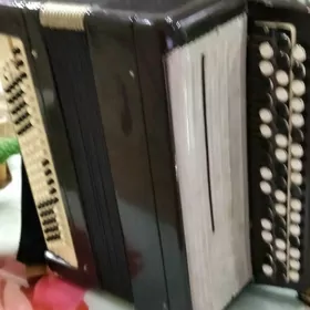 баян