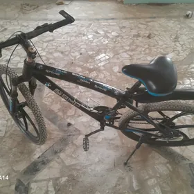welsapet