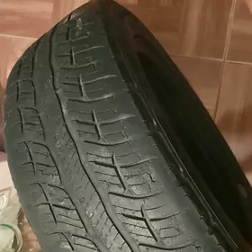 205 55 r16 diska pokriska