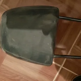 podgolownik kojadan taze