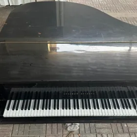 Рояль