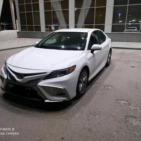 Toyota Camry 2020