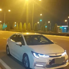 Toyota Corolla 2020