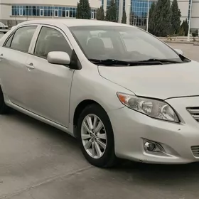 Toyota Corolla 2010