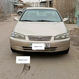 Toyota Camry 1999