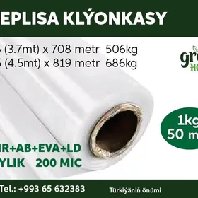 Teplisa Klýonkasy