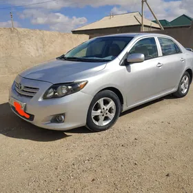 Toyota Corolla 2010