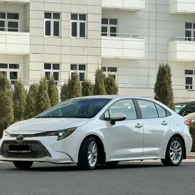 Toyota Corolla 2020