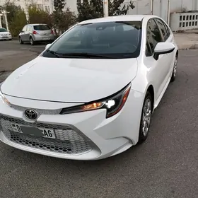 Toyota Corolla 2019