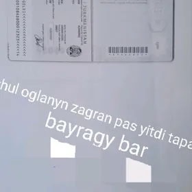 zagran pas ýitdi