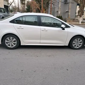 Toyota Corolla 2019