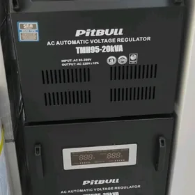 PITBULL TOK KOPELDYÄN