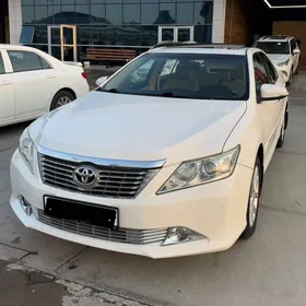 Toyota Aurion 2013