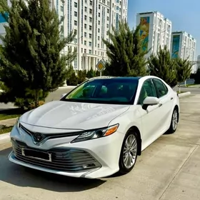 Toyota Camry 2019