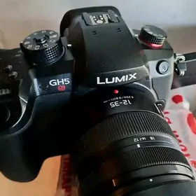 Lumix gh5s