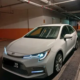 Toyota Corolla 2019