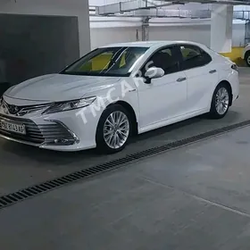 Toyota Camry Hybrid 2019