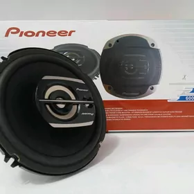 pioneer nikl