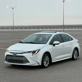 Toyota Corolla 2020