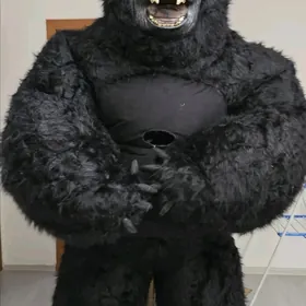 Gorilla