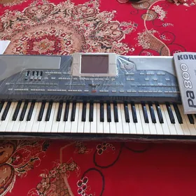 Toý aparat KORG PA800