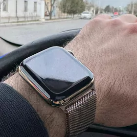 iwatch stainless