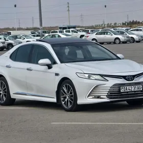 Toyota Camry 2019