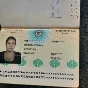 Garabatyrowa Aysoltan pasport