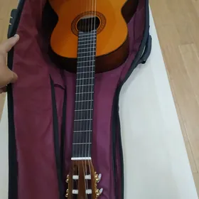 Gitara Ý. C80