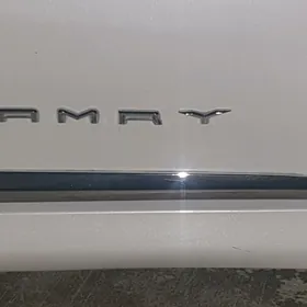 "CAMRY"-ýazgy gapy nakleýka