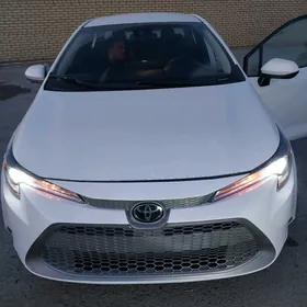 Toyota Corolla 2019