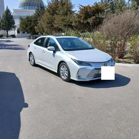 Toyota Corolla 2023