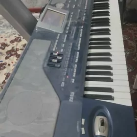 korg pa 800