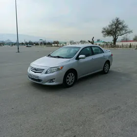 Toyota Corolla 2008