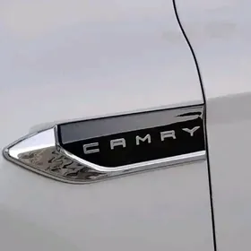 Camry krylo emblema