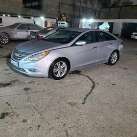 Hyundai Sonata 2010