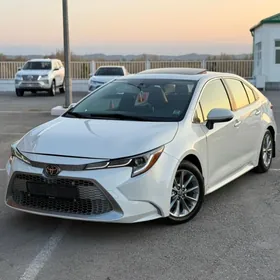 Toyota Corolla 2019