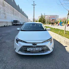 Toyota Corolla 2020